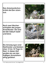 Aufzucht-der-Jungen-2.pdf